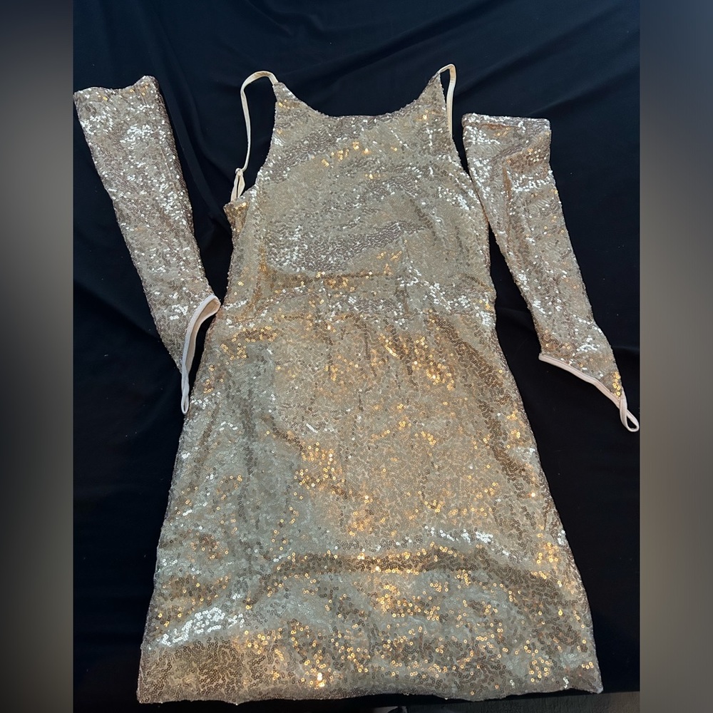 Runaway the label gold dress with gloves!!